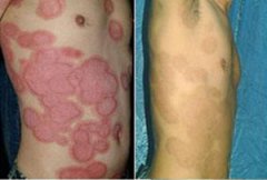 ����õ�忷�����ַ����ã�