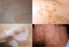 ����Ѣ������Ʒ���